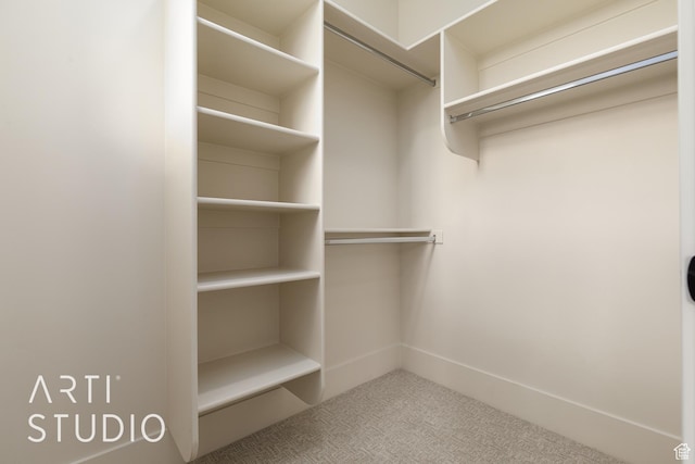 2921 E Yavin Way, St George, UT 84790 - walk in closet featuring carpet flooring