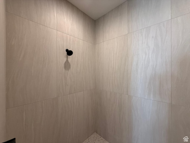 2921 E Yavin Way, St George, UT 84790 - detailed view of tiled shower