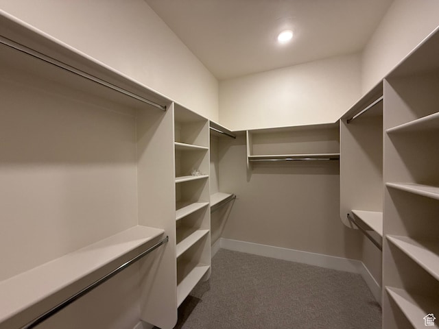 2921 E Yavin Way, St George, UT 84790 - spacious closet featuring dark colored carpet