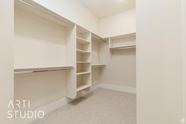 2921 E Yavin Way, St George, UT 84790 - walk in closet with carpet