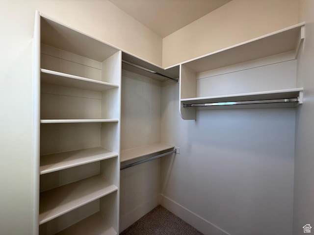 2921 E Yavin Way, St George, UT 84790 - spacious closet with carpet flooring