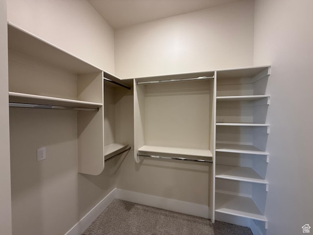 2921 E Yavin Way, St George, UT 84790 - spacious closet featuring carpet