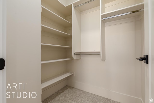 2921 E Yavin Way, St George, UT 84790 - view of walk in closet