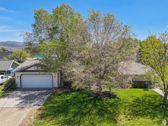 245 S 400 W, Heber City, UT 84032 - view of property hidden behind natural elements featuring driveway, a garage, a front lawn, and stucco siding