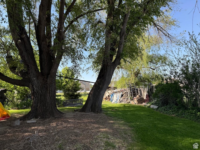 1035 W Main St, Lehi, UT 84043 - view of green lawn