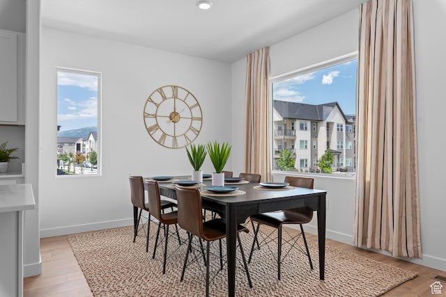 1121 W 440 S Unit 237, American Fork, UT 84003 - dining room with light wood-style flooring and baseboards