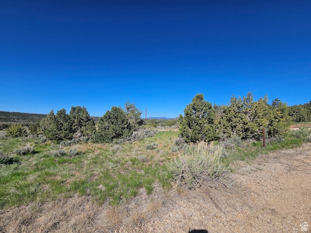 45465 W Airport Rd, Fruitland, UT 84027 - view of nature