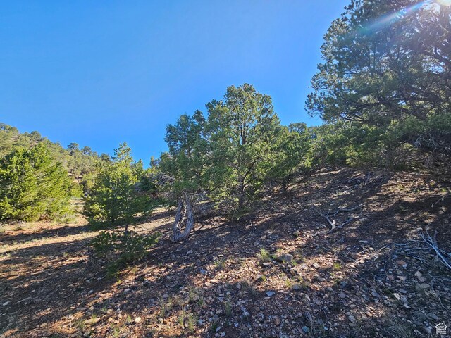 45465 W Airport Rd, Fruitland, UT 84027 - view of undeveloped land
