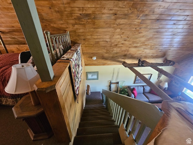 45465 W Airport Rd, Fruitland, UT 84027 - staircase with wooden ceiling and carpet floors