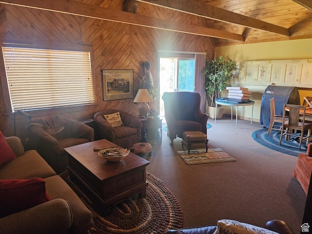 45465 W Airport Rd, Fruitland, UT 84027 - carpeted living area featuring wood ceiling and wood walls
