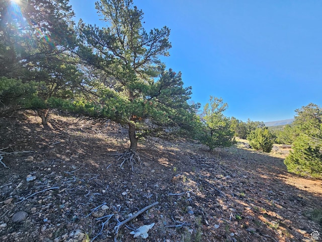 45465 W Airport Rd, Fruitland, UT 84027 - view of yard