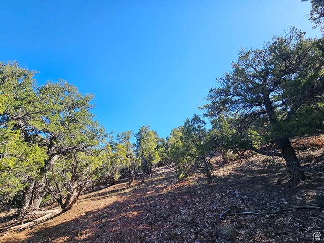 45465 W Airport Rd, Fruitland, UT 84027 - view of undeveloped land