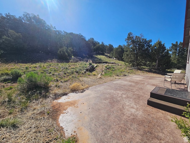 45465 W Airport Rd, Fruitland, UT 84027 - view of yard with a wooded view