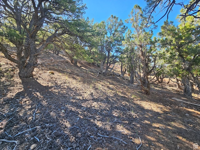 45465 W Airport Rd, Fruitland, UT 84027 - view of yard