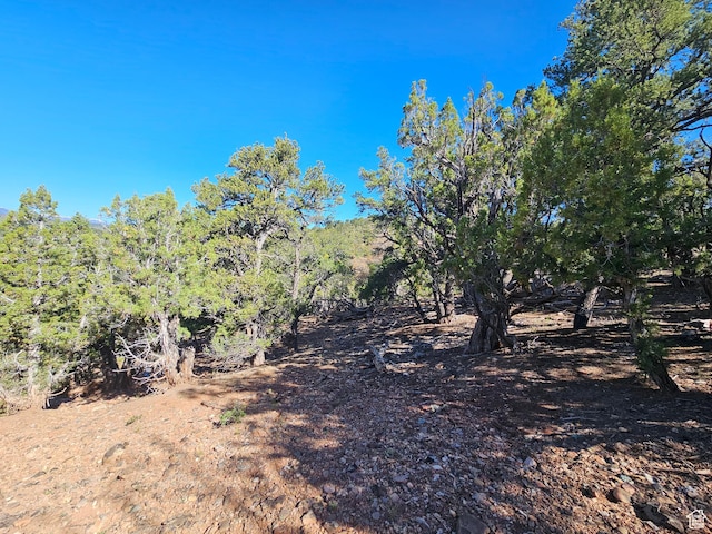 45465 W Airport Rd, Fruitland, UT 84027 - view of local wilderness