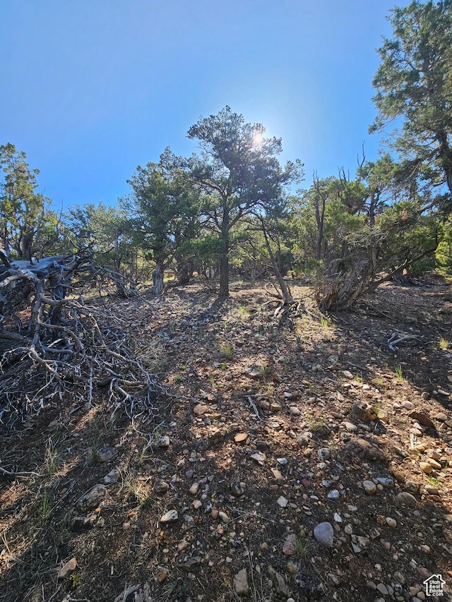 45465 W Airport Rd, Fruitland, UT 84027 - view of local wilderness