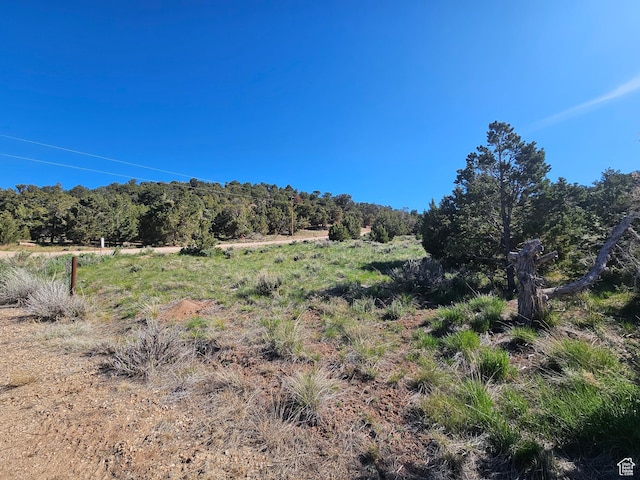 45465 W Airport Rd, Fruitland, UT 84027 - view of undeveloped land