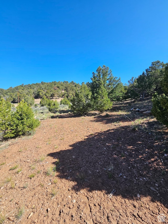 45465 W Airport Rd, Fruitland, UT 84027 - view of yard