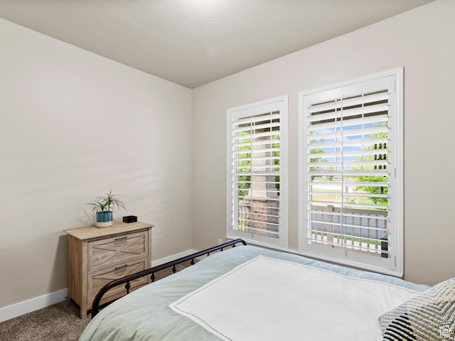 2143 W River Birch Rd, Mapleton, UT 84664 - bedroom featuring multiple windows, baseboards, and carpet flooring