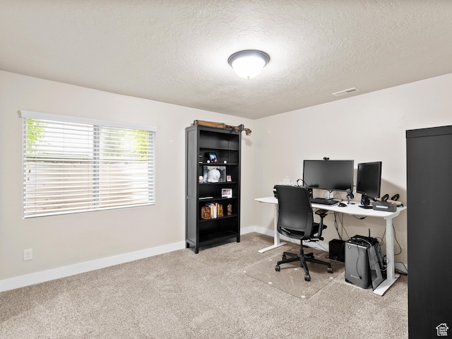 2143 W River Birch Rd, Mapleton, UT 84664 - office space with carpet, a textured ceiling, and baseboards