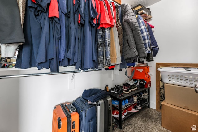 5564 W Baldrine Ct, Herriman, UT 84096 - walk in closet featuring carpet flooring