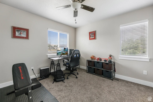 5564 W Baldrine Ct, Herriman, UT 84096 - office space featuring ceiling fan, healthy amount of natural light, and carpet floors