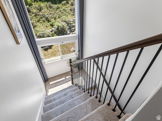 1152 E Gavin Cir, Draper, UT 84020 - staircase with carpet flooring