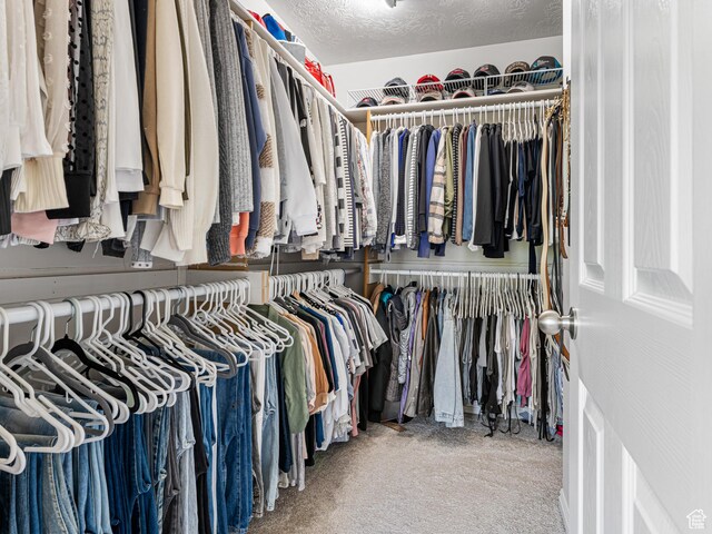 1152 E Gavin Cir, Draper, UT 84020 - spacious closet with carpet floors