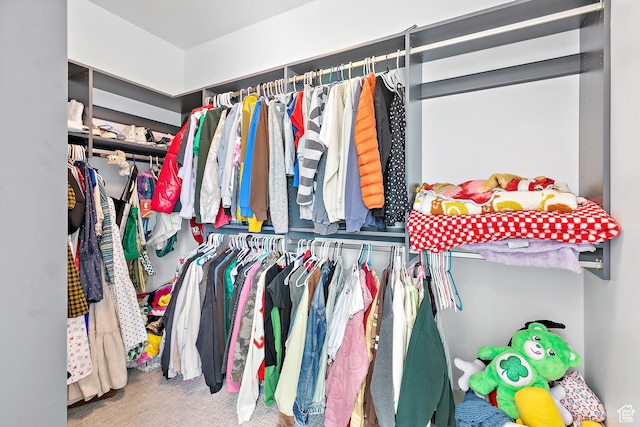 1620 W Brevia Ct Unit 25, Lehi, UT 84043 - spacious closet with carpet floors