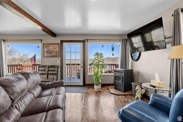 10246 E Lake Pines Dr Unit 1020, Heber City, UT 84032 - living room with a wood stove, beam ceiling, wood finished floors, and baseboards