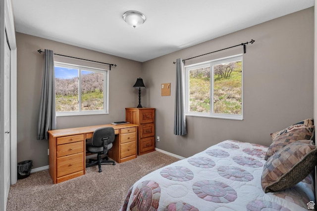 10246 E Lake Pines Dr Unit 1020, Heber City, UT 84032 - bedroom with carpet floors, baseboards, and an office area