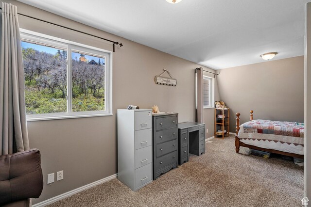 10246 E Lake Pines Dr Unit 1020, Heber City, UT 84032 - bedroom featuring light carpet, multiple windows, and baseboards