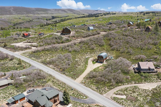 10246 E Lake Pines Dr Unit 1020, Heber City, UT 84032 - bird's eye view
