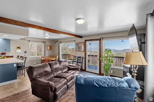 10246 E Lake Pines Dr Unit 1020, Heber City, UT 84032 - living area featuring beam ceiling and light wood-type flooring