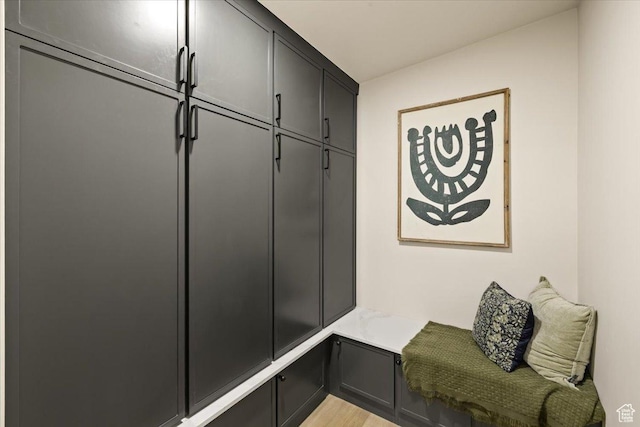 2559 E Evening Star Dr, Holladay, UT 84124 - mudroom with light wood-style flooring