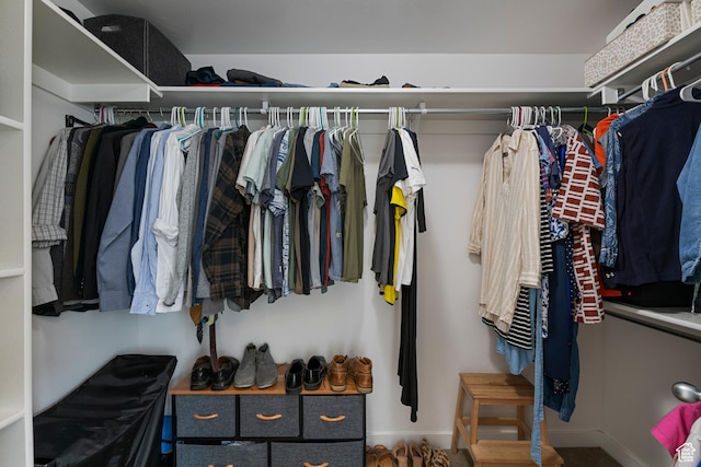 841 W Cannara Way S, Midvale, UT 84047 - view of walk in closet