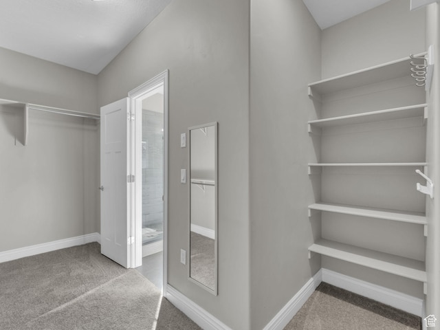 1949 W Shadow Way, Kaysville, UT 84037 - walk in closet featuring carpet