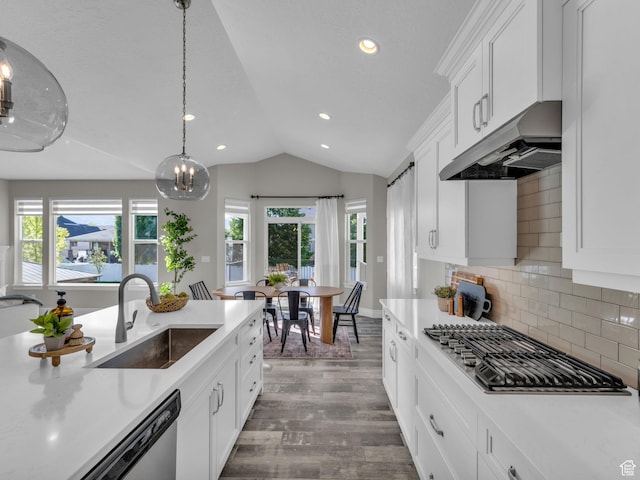 1949 W Shadow Way, Kaysville, UT 84037 - kitchen with a sink, under cabinet range hood, stainless steel appliances, lofted ceiling, and healthy amount of natural light