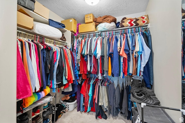 641 E Green Springs Way Unit 324, South Weber, UT 84405 - walk in closet featuring carpet