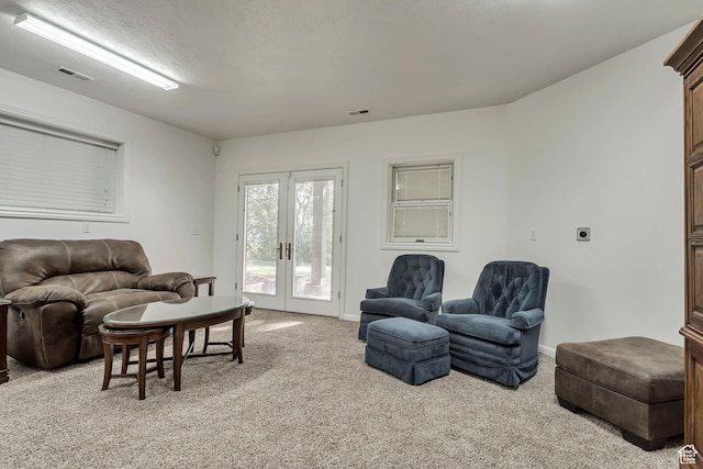 3286 N Piute Dr, Provo, UT 84604 - living area featuring french doors, light colored carpet, and baseboards