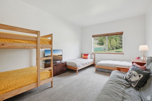 840 Bigler Ln Unit 2021, Midway, UT 84049 - view of carpeted bedroom