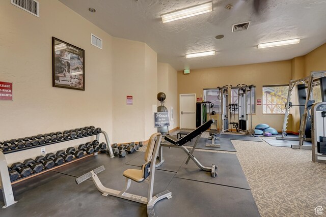 840 Bigler Ln Unit 2021, Midway, UT 84049 - gym featuring a textured ceiling