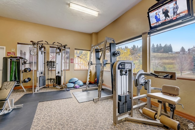 840 Bigler Ln Unit 2021, Midway, UT 84049 - workout area featuring baseboards