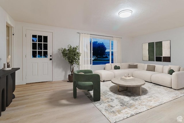 171 E 200 N, Orem, UT 84057 - living area featuring light wood-type flooring and baseboards