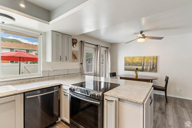 1162 S 885 E, Ogden, UT 84404 - kitchen with stainless steel appliances, a peninsula, wood finished floors, and healthy amount of natural light