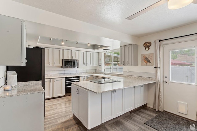 1162 S 885 E, Ogden, UT 84404 - kitchen featuring stainless steel microwave, a peninsula, light wood-type flooring, light countertops, and plenty of natural light
