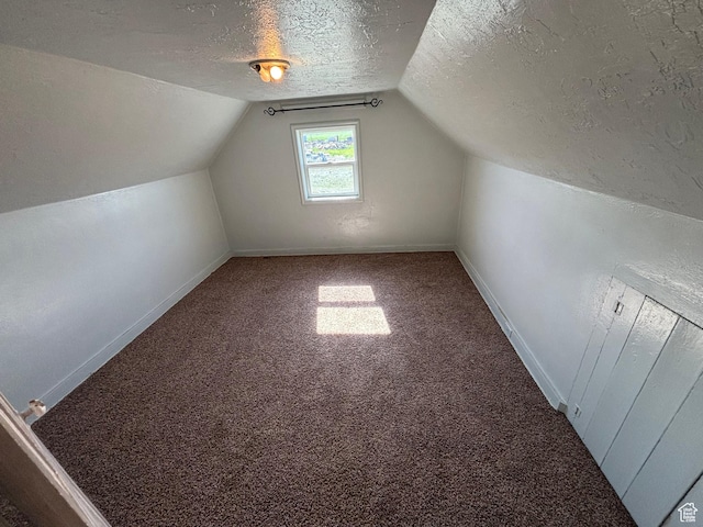 149 Thomas Fork Ln, Geneva, ID 83238 - bonus room with a textured ceiling, carpet floors, radiator, baseboards, and lofted ceiling