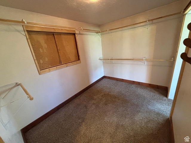 149 Thomas Fork Ln, Geneva, ID 83238 - walk in closet with dark colored carpet