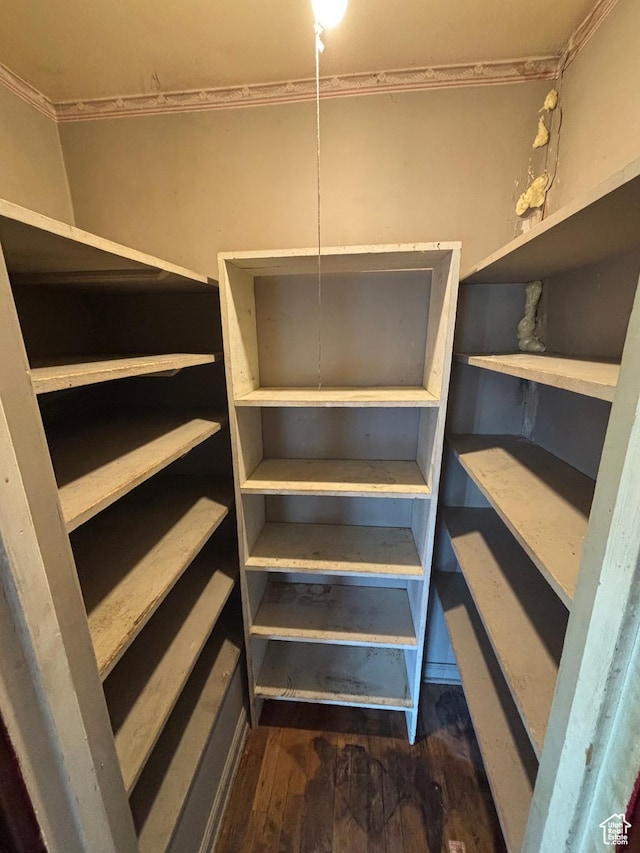 149 Thomas Fork Ln, Geneva, ID 83238 - view of pantry