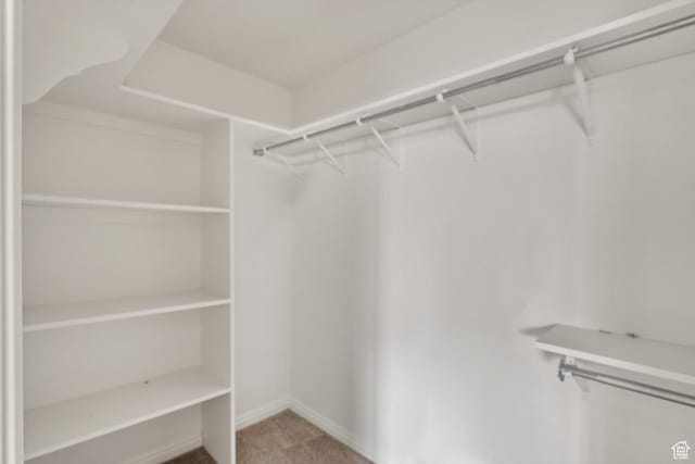 5094 W Pebblerock Cir S, West Jordan, UT 84081 - walk in closet featuring carpet